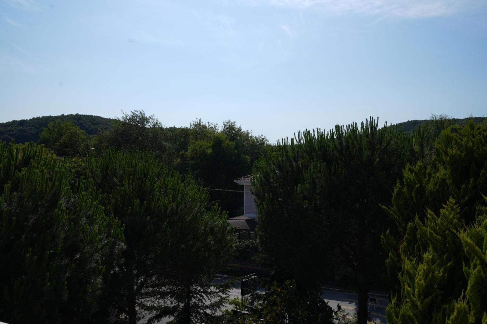 Butterfly Boutique Hotel Agva Dış mekan fotoğraf